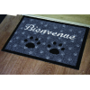 tapis-d-interieur